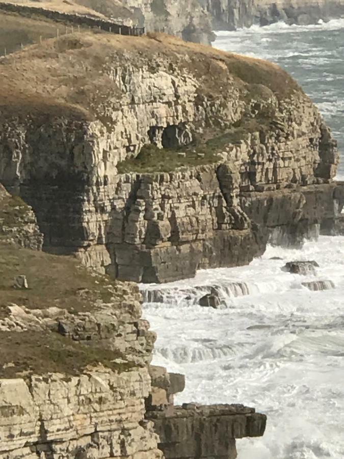 The Wing -Near To The Beaches And Bournemouth University Dış mekan fotoğraf